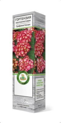 Гортензия крупнолистовая Графиня Косел/ЦКор в интернет гипермаркете «Планета Лета». Фото