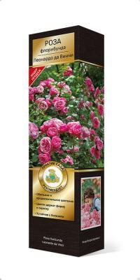 Роза Мейян флорибунда Леонардо да Винчи Люкс П в интернет гипермаркете «Планета Лета». Фото