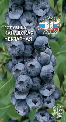 Голубика канадская Нектарная 0,05 гр в интернет гипермаркете «Планета Лета». Фото