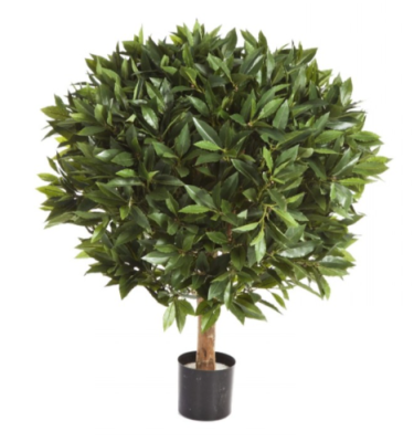 Лавр круглый д-50 см в-60 см в интернет гипермаркете «Планета Лета». Фото