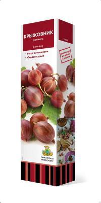 Крыжовник Черносливовый/ЦКор в интернет гипермаркете «Планета Лета». Фото