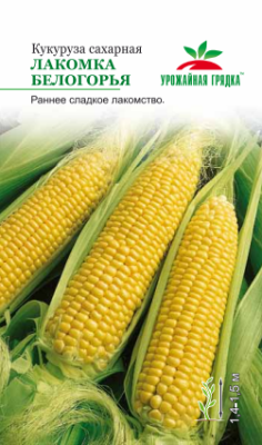 Кукуруза Лакомка Белогорья (сахарная). Евро, 5