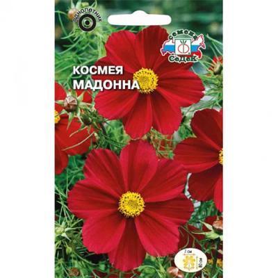 Космея Мадонна 0,06 гр в интернет гипермаркете «Планета Лета». Фото