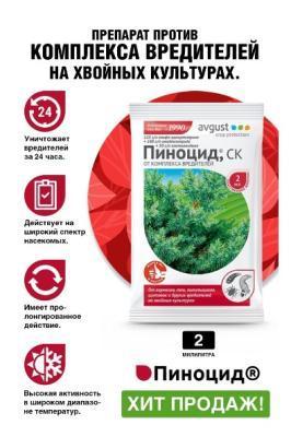 Пиноцид 2мл в интернет гипермаркете «Планета Лета». Фото