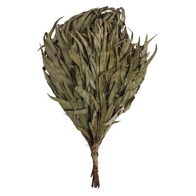 Веник эвкалиптовый 03691 в интернет гипермаркете «Планета Лета». Фото