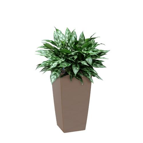 Кашпо Артевази Pisa L33 W33 H60 см серо-коричневое глянцевое комплект Все-в-одном 818116 в интернет гипермаркете «Планета Лета». Фото