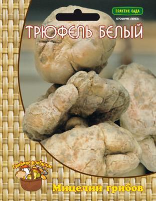 Трюфель белый или итальянский 520434 в интернет гипермаркете «Планета Лета». Фото