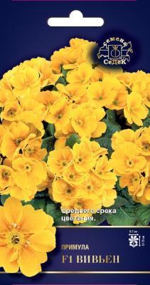 Примула Вивьен F1 5 шт в интернет гипермаркете «Планета Лета». Фото