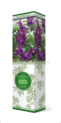 Сирень обыкновенная Вечерняя Москва/ЦКор П в интернет гипермаркете «Планета Лета». Фото