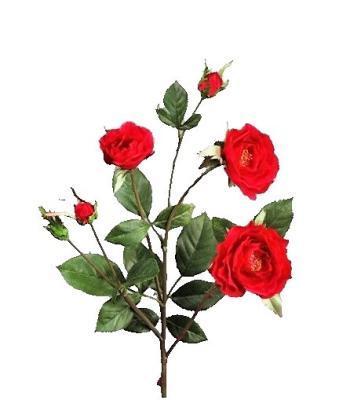 Роза Вайлд ветвь красная в-41 см 3цв,3бут 30.0613111RD в интернет гипермаркете «Планета Лета». Фото