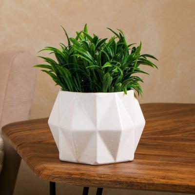 Горшок Ромб белый 15х11,5см 1л 9244759 в интернет гипермаркете «Планета Лета». Фото