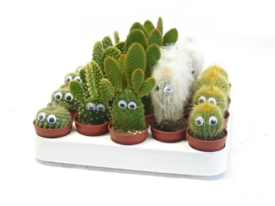 Кактус + декор, Гор14, Выс22 в интернет гипермаркете «Планета Лета». Фото
