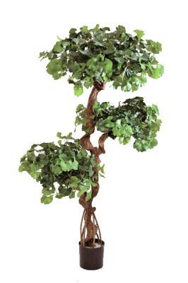 Гинкго на забавном стволе 145 см 10.52205N в интернет гипермаркете «Планета Лета». Фото