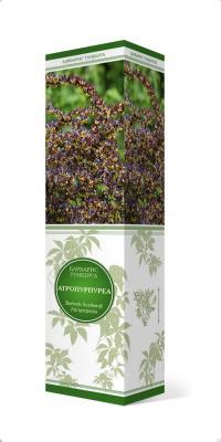 Барбарис Тунберга Атропурпуреа/ЦКор в интернет гипермаркете «Планета Лета». Фото