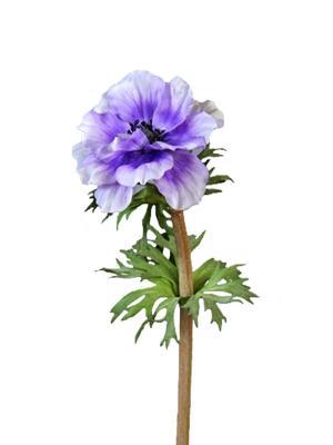 Анемон сиреневый д-10, в-42 см 30.0610014BL в интернет гипермаркете «Планета Лета». Фото