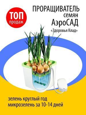 Домашний АэроСАД "Здоровья КЛАД" в интернет гипермаркете «Планета Лета». Фото
