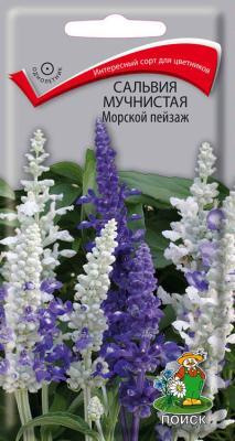 Сальвия мучнистая Морской пейзаж (ЦВ) ("1) 10шт