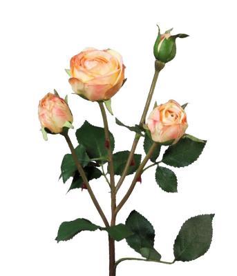 Роза Пале-Рояль ветвь персиково-золотистая в-47 см 3цв, 1бут12/60 в интернет гипермаркете «Планета Лета». Фото