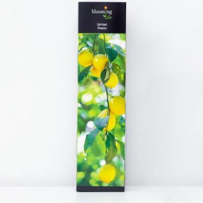 Цитрус Лайм/Лимон (Аурантифолия)/ЦКор ПЕРЕСОРТ Уценка!!! в интернет гипермаркете «Планета Лета». Фото