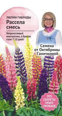 Люпин Гибриды Расселя смесь 0,5 г Ганичкина в интернет гипермаркете «Планета Лета». Фото