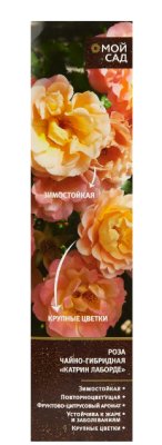 Роза чайно-гибридная Катрин Лаборде (туба), в интернет гипермаркете «Планета Лета». Фото