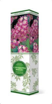 Дейция гибридная Строберри Филдс П в интернет гипермаркете «Планета Лета». Фото