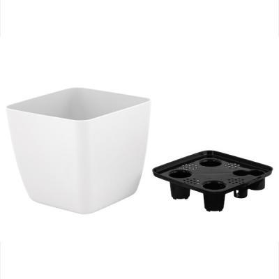 Горшок с дренажной вставкой InGreen Vienna, 1,5л, квадратный, белоснежный жасмин в интернет гипермаркете «Планета Лета». Фото