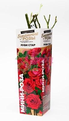 Роза спрей Руби Стар/ЦКор П в интернет гипермаркете «Планета Лета». Фото