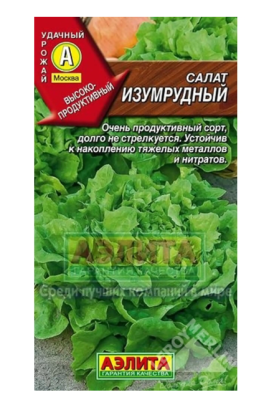 Салат Изумрудный листовой в интернет гипермаркете «Планета Лета». Фото