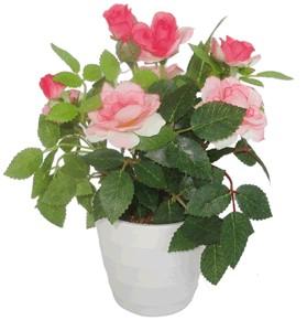 Роза H-23см HR-41753 в интернет гипермаркете «Планета Лета». Фото