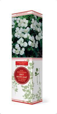 Роза миниатюрная Вит Морсдаг П в интернет гипермаркете «Планета Лета». Фото