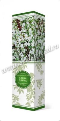 Сакура (Вишня декоративная) Альба Плена П в интернет гипермаркете «Планета Лета». Фото