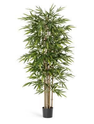 Бамбук Новый натуральный 150 см 10.35705N в интернет гипермаркете «Планета Лета». Фото