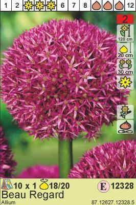 STA Аллиум Beau Regard (x1) в интернет гипермаркете «Планета Лета». Фото