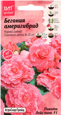 Бегония Америгибрид Пикоти Лейс Пинк F1 5 шт АСТ в интернет гипермаркете «Планета Лета». Фото