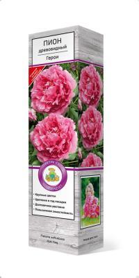Пион древовидный Герои П в интернет гипермаркете «Планета Лета». Фото