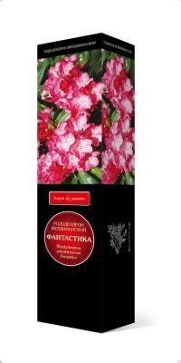 Рододендрон якушиманский Фантастика/ЦКорЛюкс в интернет гипермаркете «Планета Лета». Фото