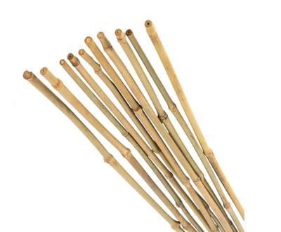 Палка бамбук 90 см 8-10 мм в интернет гипермаркете «Планета Лета». Фото