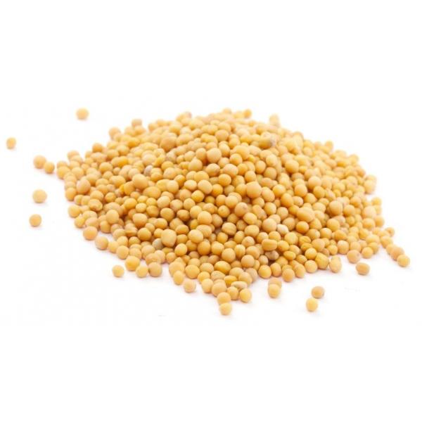 Горчица белая 1кг Агроуспех в интернет гипермаркете «Планета Лета». Фото