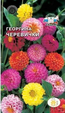 Георгина Черевички помпонная смесь цветов в интернет гипермаркете «Планета Лета». Фото