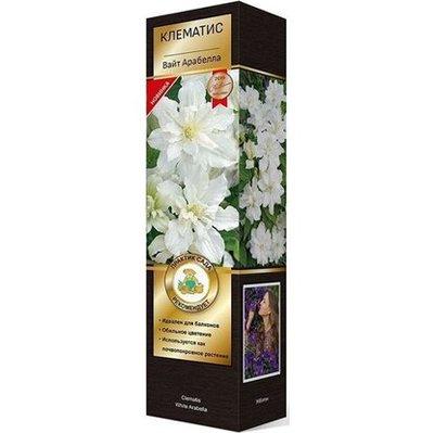 Клематис ботанический Вайт Арабелла/КЛюкс в интернет гипермаркете «Планета Лета». Фото