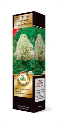 Гортензия метельчатая Мэджикал Мунлайт П в интернет гипермаркете «Планета Лета». Фото