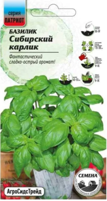 Базилик Сибирский карлик 0,25 г ПАТРИОТ в интернет гипермаркете «Планета Лета». Фото