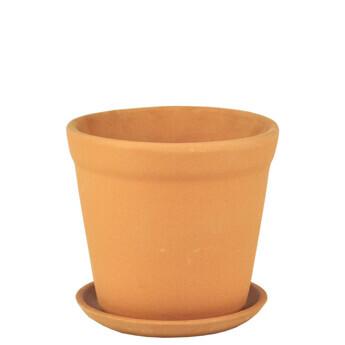 Горшок Юкка 3 терра ИВ90/3 в интернет гипермаркете «Планета Лета». Фото