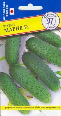 Огурец Мария F1