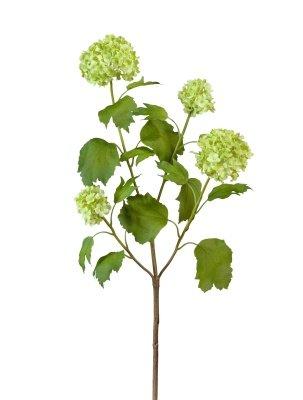 Калина бульдонеж (Вибурнум) (4 соцветия) св.зеленая 67 см 12/72 30.0610015GR в интернет гипермаркете «Планета Лета». Фото