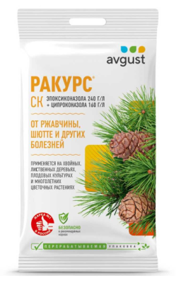 Ракурс СК, 10 мл в интернет гипермаркете «Планета Лета». Фото