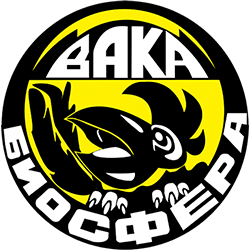 Вака Вака