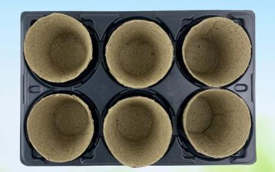 Набор торфяных горшков с подставкой (уп.6 шт) в интернет гипермаркете «Планета Лета». Фото