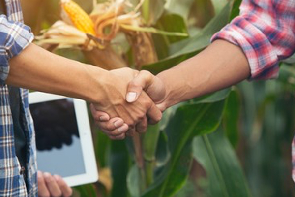 Опт и розница в Садовом Центре «Планета Лета» Опт и розница в Садовом Центре «Планета Лета»